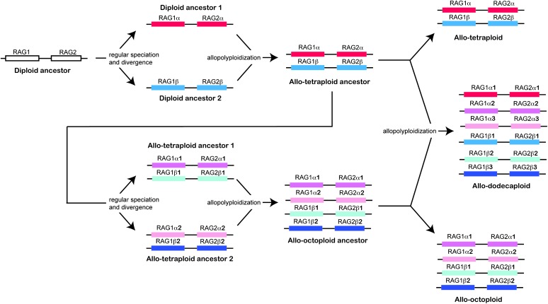 Figure 1.—