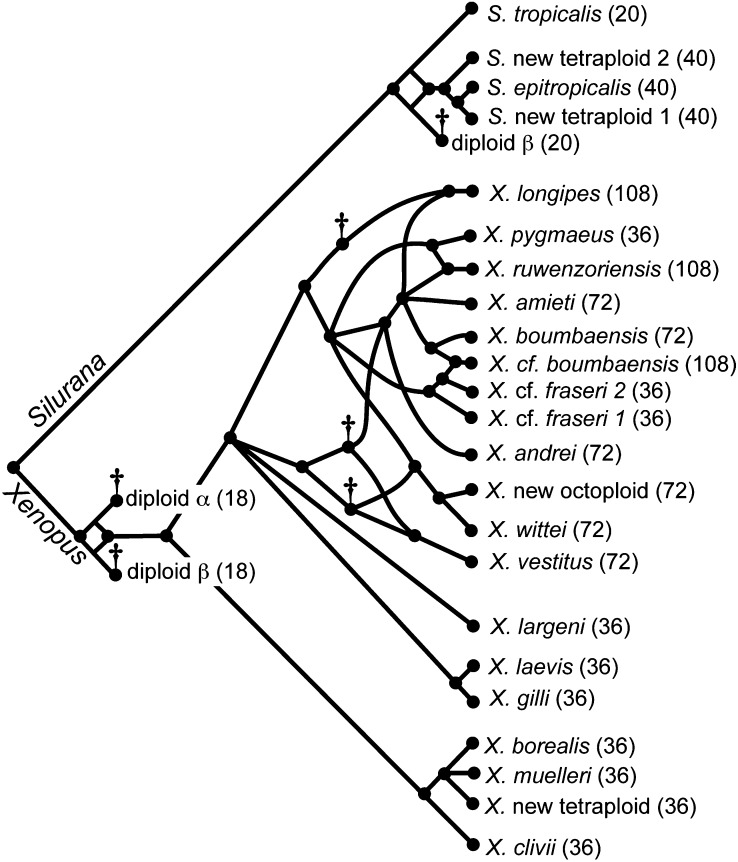 Figure 3.—