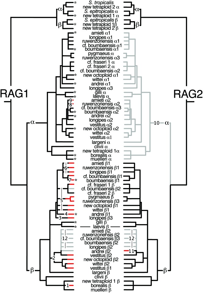 Figure 2.—