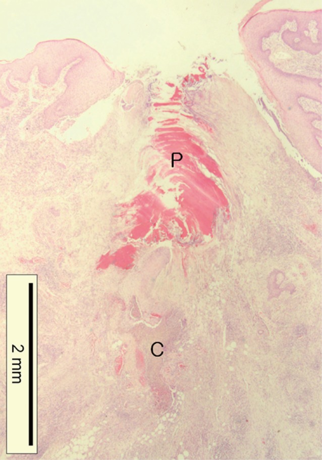 Fig. 4