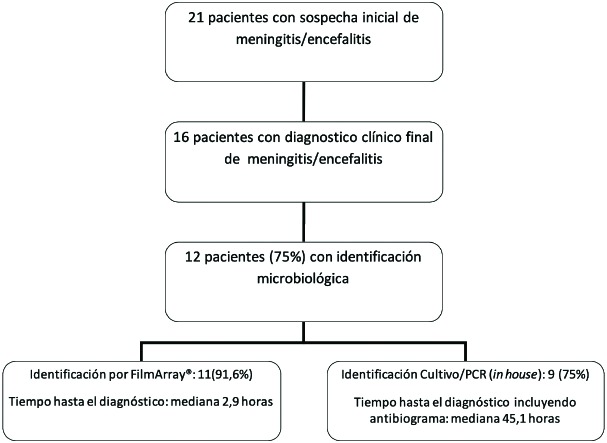 Figura 1