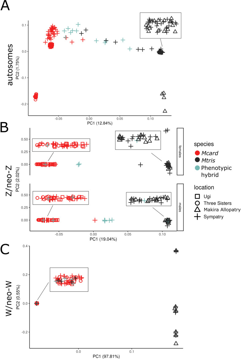 Fig 6