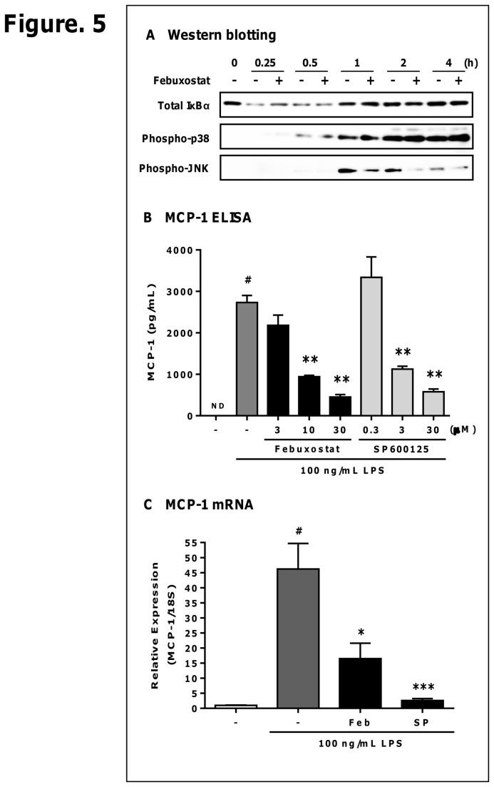 Figure 5