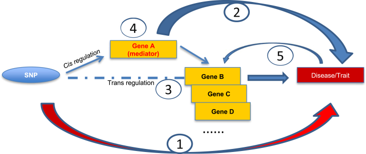 Figure 2