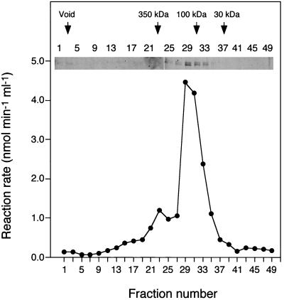 FIG. 6