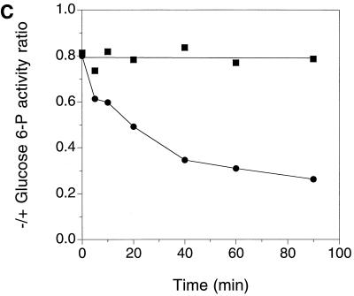 FIG. 1