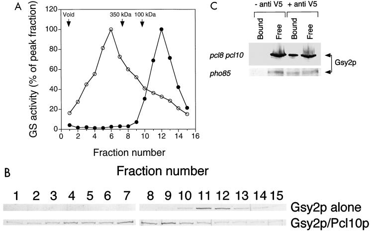 FIG. 7