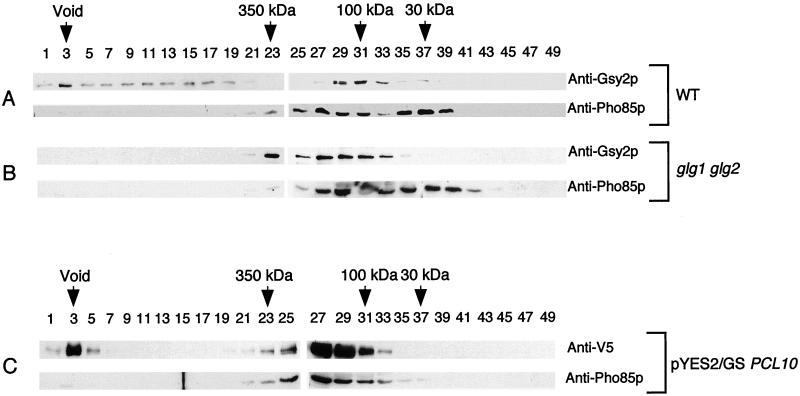 FIG. 8