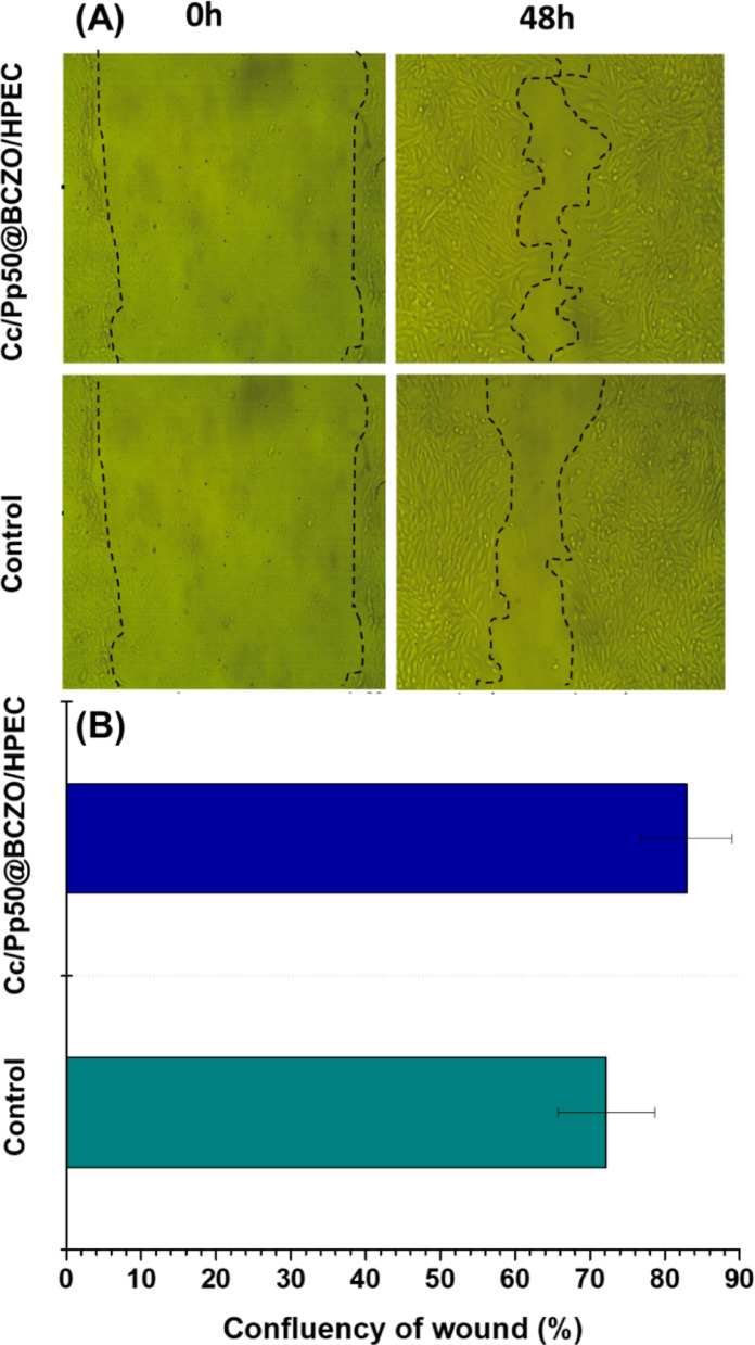Fig. 10