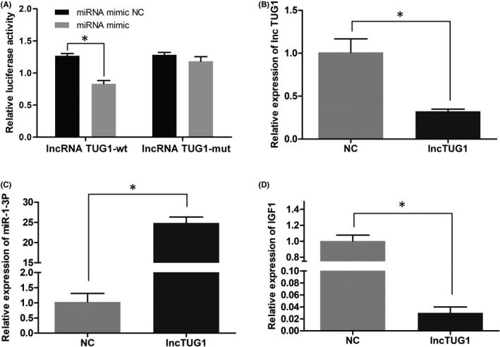 FIGURE 1