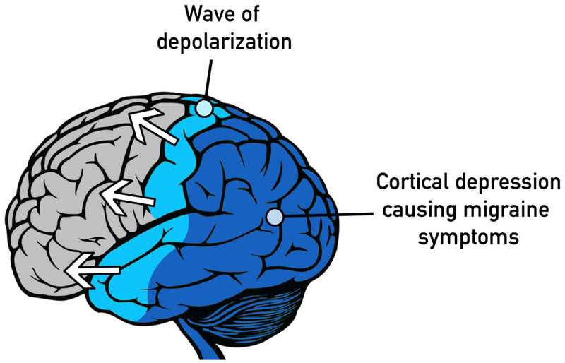 Fig 1.