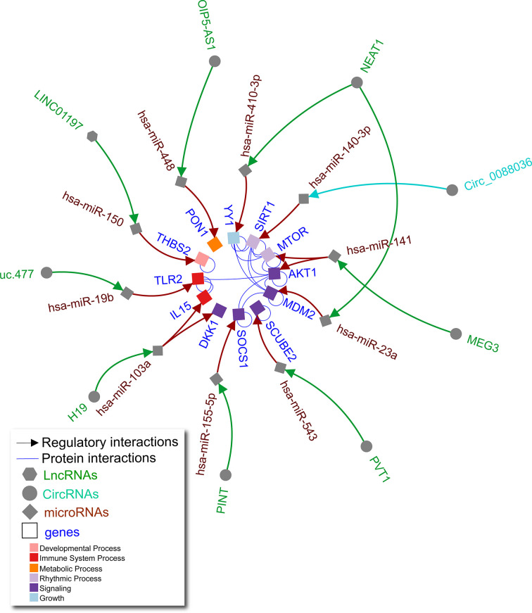 Figure 2