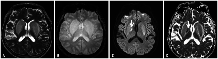 Fig. 8