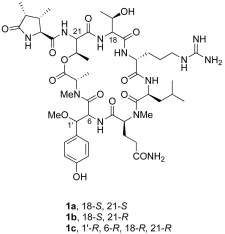 graphic file with name nihms63712u2.jpg