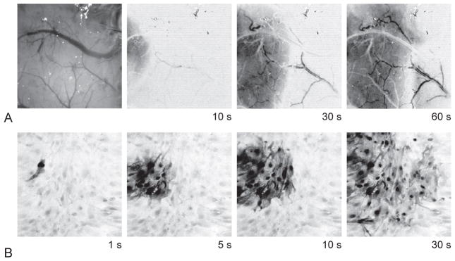 Fig. 7.1