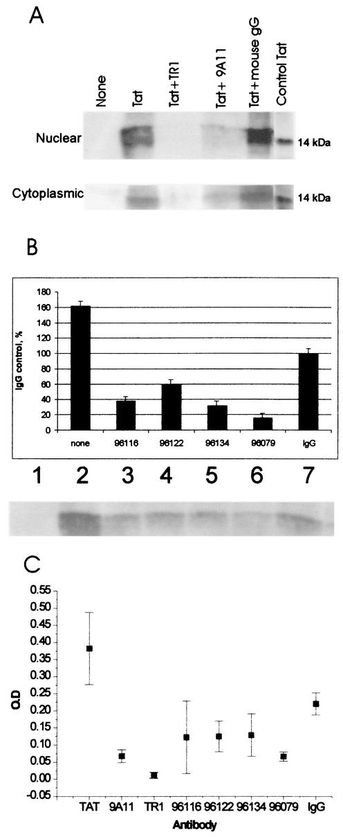 FIG. 6.