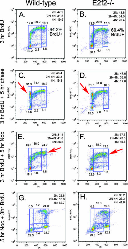 FIG. 7.