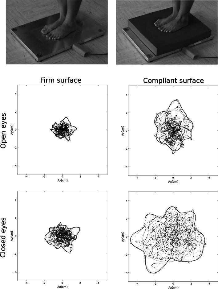 Fig. 1