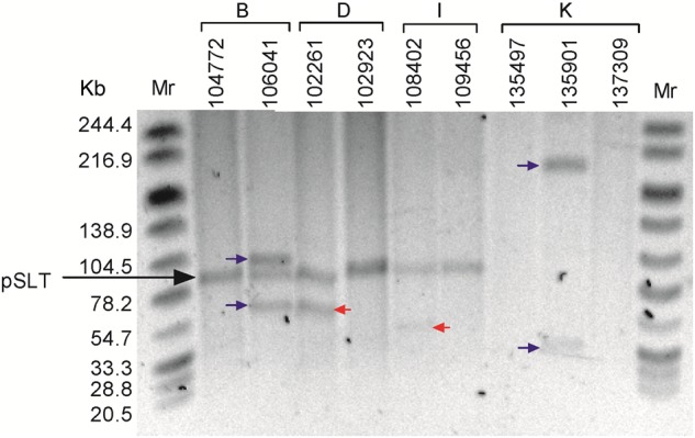 Figure 2.