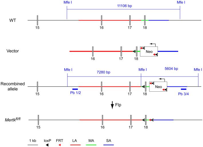 Extended Data Figure 4