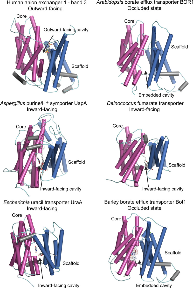 Figure 3.