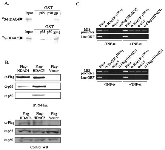 FIG. 7.