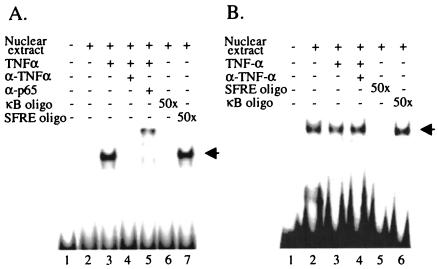 FIG. 5.