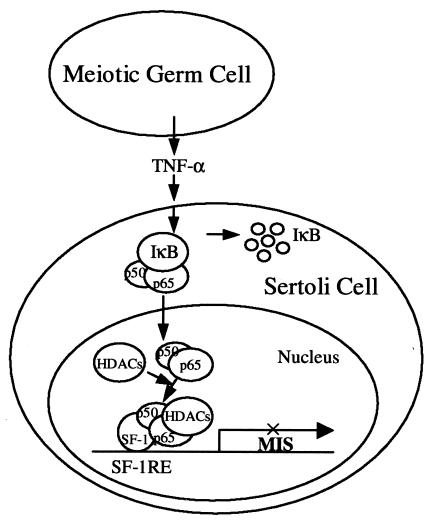 FIG. 8.