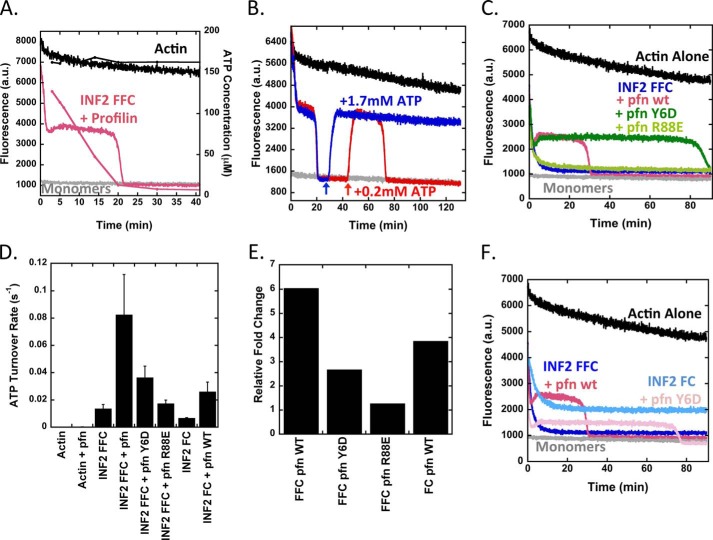 FIGURE 4.