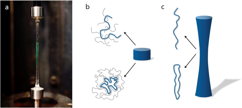 Figure 1: