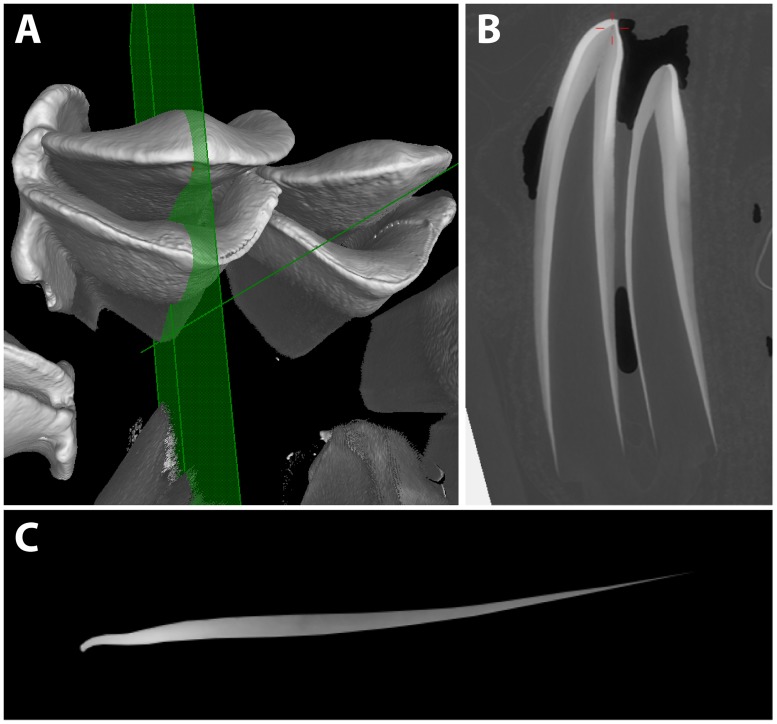 Fig 2