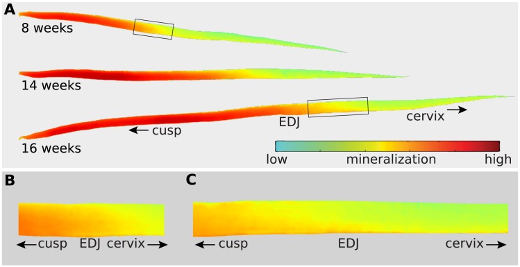 Fig 3