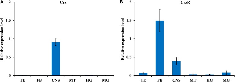 FIGURE 1