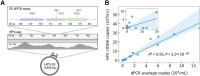 Figure 3. HPV genotyping and ctDNA quantification from plasma cfDNA using HPV-seq. A, HPV-seq correctly genotyped the baseline (pretreatment) plasma cfDNA sample from P19 as HPV-33. HPV-mapping reads were found across the E6 and E7 genes of HPV-33 (100% match to correct genotype). Comparison with dPCR results from the same sample, in which the E6 assay was false negative, reveals mutations in the reverse primer and probe sequences that likely affected dPCR assay performance. B, Comparison of HPV ctDNA copies/mL plasma evaluated by dPCR (x-axis; average of E6 and E7 copies) and HPV-seq (y-axis) for 33 plasma cfDNA samples of patients with cervix cancer obtained at end-of-treatment or posttreatment and 13 plasma cfDNA samples of patients with OPC obtained at pretreatment. Linear regression and its 95% CI (shaded) are shown.