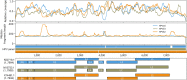 Figure 6. Genome-wide fragmentomic patterns of HPV-mapping ctDNA fragments across 3 HPV genotypes. First track: Relative read depth coverage for HPV-mapping paired-end reads. Coverage is normalized relative to the maximum for each genome. Relative coverage of 0 indicates no properly paired mapping reads. Samples from tumors harboring HPV-16 (blue; N = 22 samples from 21 patients), HPV-33 (gold; N = 2 samples from 1 patient), and HPV-52 (orange; N = 2 samples from 1 patient) are shown. Second track: Median HPV ctDNA fragment lengths (bp) inferred from sequenced fragment insert sizes. Third track: Capture probes for the 3 HPV genotypes. Fourth track: HPV gene organization from GenBank.