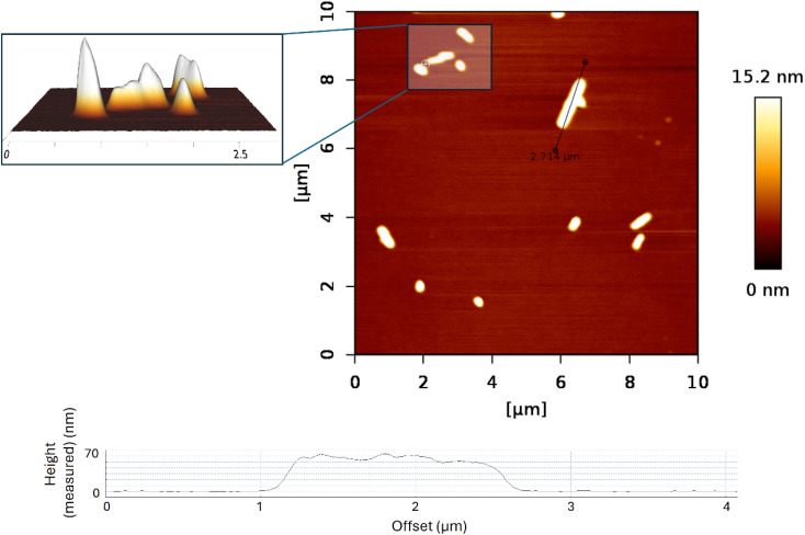 Fig. 4