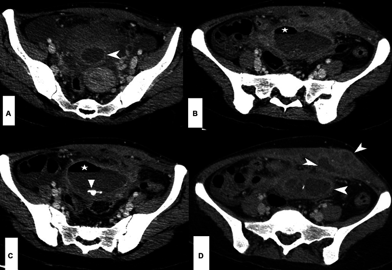 Fig. 7