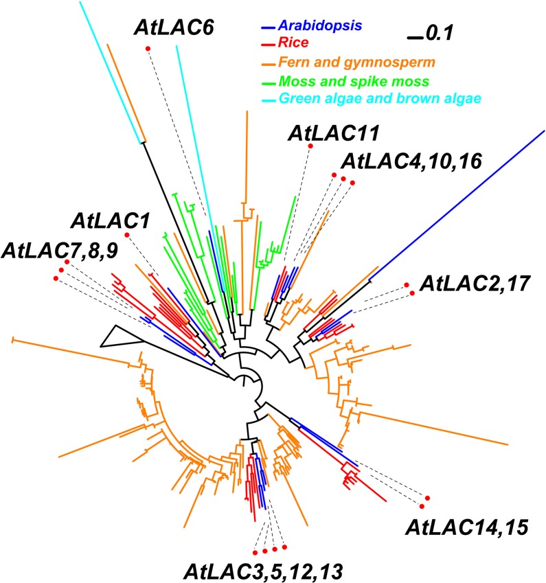 Figure 7.