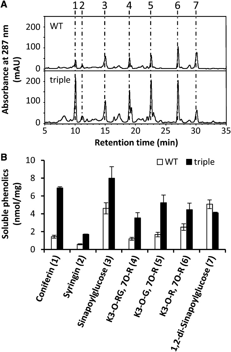 Figure 6.