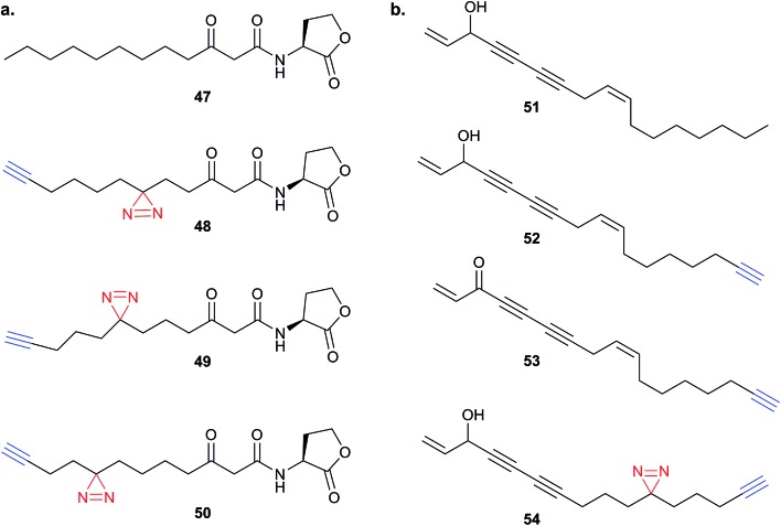 Fig. 16