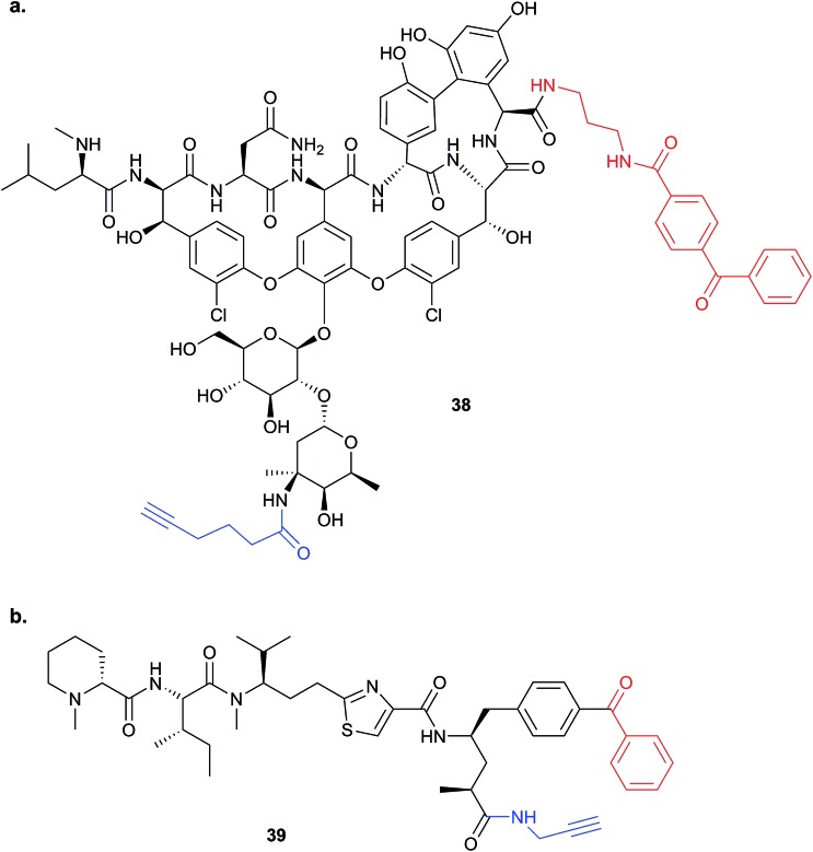 Fig. 14