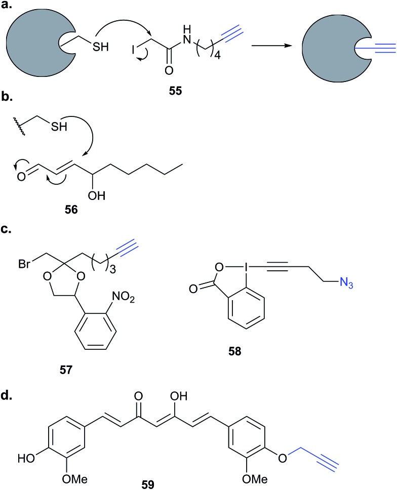 Fig. 17