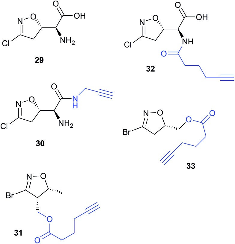 Fig. 13