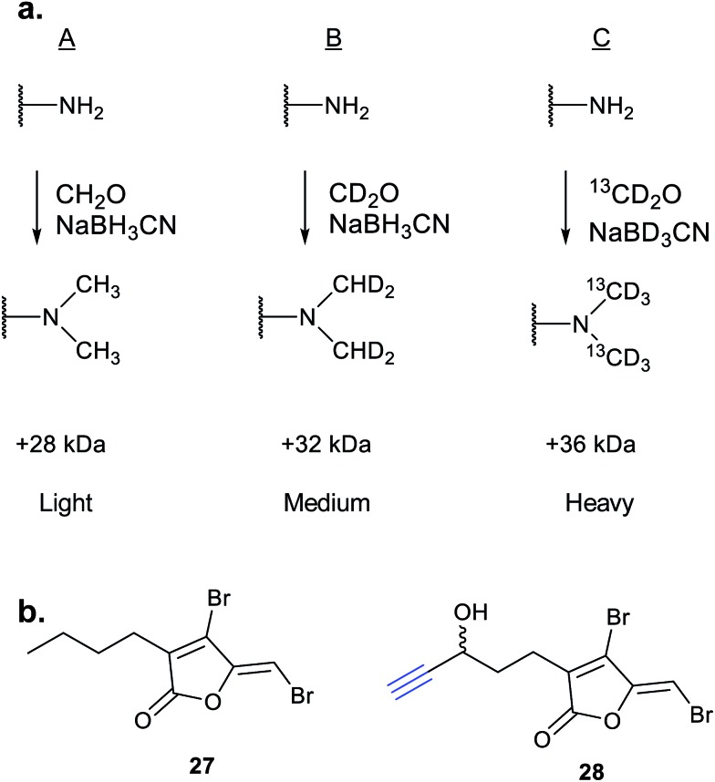 Fig. 12