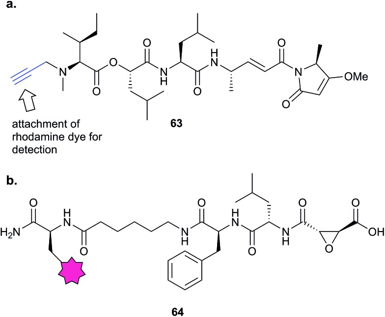 Fig. 19