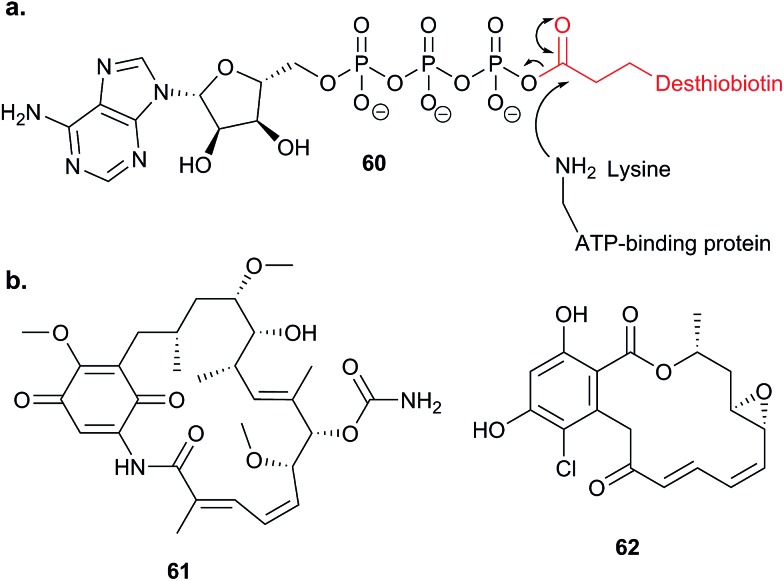 Fig. 18