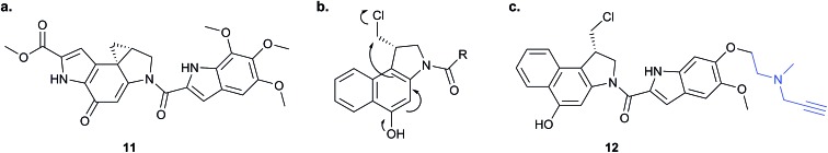 Fig. 8