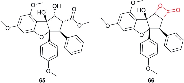 Fig. 20