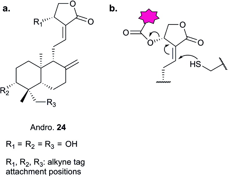 Fig. 11