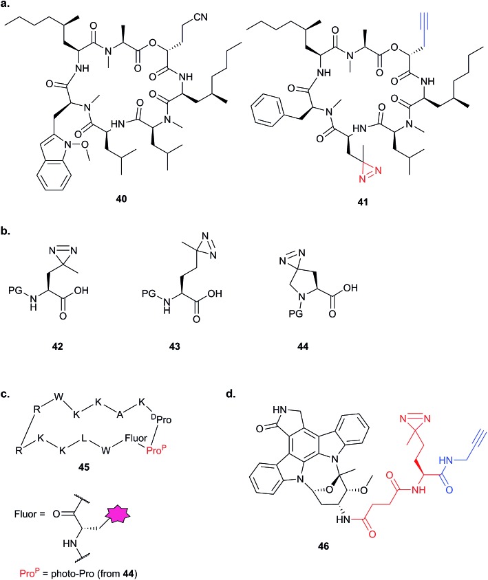 Fig. 15